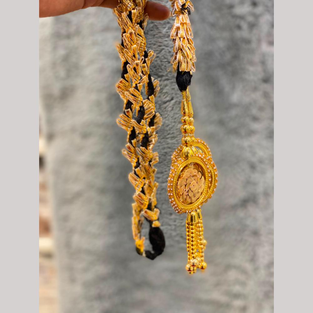 Hira Collections Heavy Mirror Work Hair Paranda