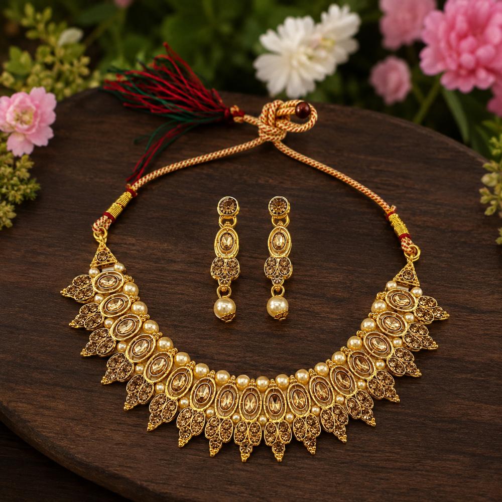 Darshana Jewels Elegant Pota Stone Austrian Stone & Pearl Necklace Set for Women