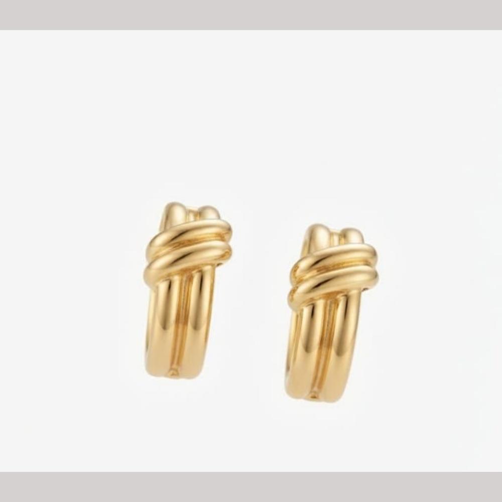 Aamrapali Fancy Studs Earrings