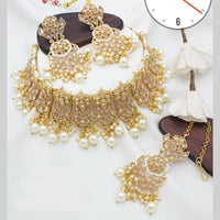 Manisha Jewellery Gold Plated Crystal Stone And Pearls Choker Necklace Set