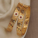 H K Fashion Premium Quality Dailywear Studded Microgold Bangles