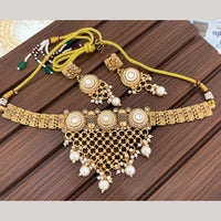 India Art Classic Pota Stone And Pearl Choker Necklace Set for Women