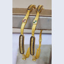 Raiyaraj Shimmering Austrian Stone Detailing Bangles Set