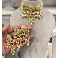 Hira Collection  Pearl Beauty And Beadwork Necklace Set