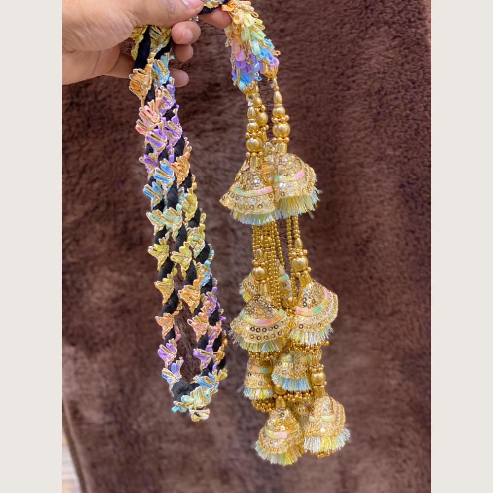 Hira Collections Traditional Multicolor Thread Punjabi Hair Paranda