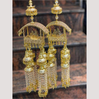 Hira Collections Heavy Look Grand Dulhan Pearl Kalire