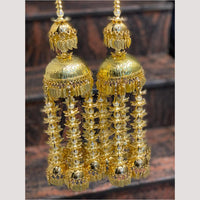 Hira Collections Heavy Look Grand Dulhan Pearl Kalire