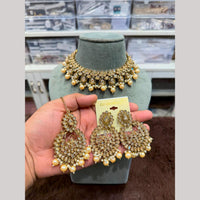 Hira Collections Luxury Crystal Stone Beads And Pearl Choker Necklace Set
