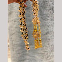 Hira Collections Heavy Mirror Work Hair Paranda
