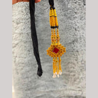 Hira Collections Heavy Mirror And Shell Work Hair Paranda