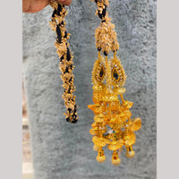 Hira Collections Multi Color Beads Hair Paranda