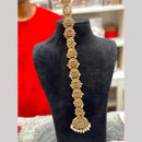 Hira Collections Gorgeous Crystal Stone And Pearl Hair Choti Wedding & Festive Look  