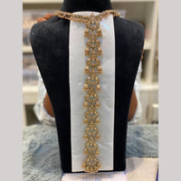 Hira Collections Gorgeous Crystal Stone And Pearl Hair Choti Wedding & Festive Look  