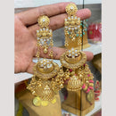 Hira Collections Glamorous Pota Stone And Pearl Jhumki Earrings