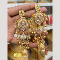 Hira Collections Glamorous Pota Stone And Pearl Jhumki Earrings