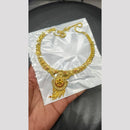 Pari Art Jewellery Royal Forming Gold Necklace Set