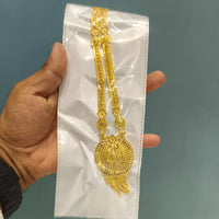 Pari Art Jewellery Designer Forming Long Necklace