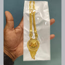 Pari Art Jewellery Designer Forming Long Necklace