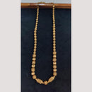Kavita Art Gold Plated Long Necklace Set