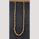 Kavita Art Gold Plated Long Necklace Set