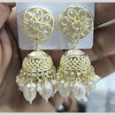 Kavita Art Designer Crystal Stone And Pearl Jhumki Earrings