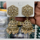 Kavita Art Designer Crystal Stone And Pearl Jhumki Earrings