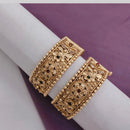 SNERA Gold Plated Pota Stone Openable Bangles Set