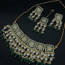 SNERA Gold Plated Kundan And Pearls Meenakari Choker Necklace Set
