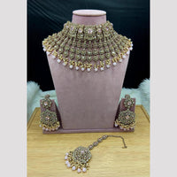 SNERA Elegant Crystal Stone And Pearl Choker Necklace Set Women
