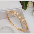 SNERA Stylish Austrian Stone Openable Statement Bracelet