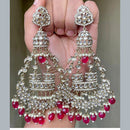 FS Collection Silver Plated Dangler Earrings