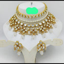 FS Collection Gold Plated Kundan Stone Choker Necklace Set