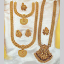 FS Collection Gold Plated Pota Stone Temple Necklace Combo