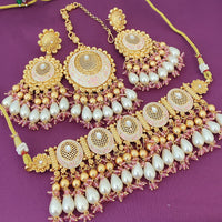 FS Collection Gold Plated Kundan And Meenakari Choker Necklace Set