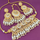 FS Collection Gold Plated Kundan And Meenakari Choker Necklace Set