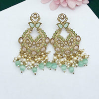 FS Collection Graceful Crystal Stone Pearl And Beaded Dangler Earrings
