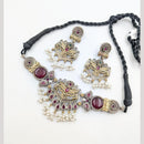 Akruti Collection 2 Tone Plated Choker Necklace Set