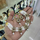 Akruti Collection Gold Plated Crystal Stone And Pearl Neckalce Set