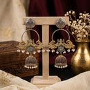 Akruti Collection 2 Tone Plated Designer Pota Stone And Pearl Jhumki Earrings