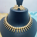 Palak Art Gold Plated Pota Stone Choker Necklace Set