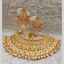 Star India Gold Plated Crystal Stone Pearl And Beads Choker Necklace Set