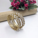 Aamrapali Shimmering Crystal Bangles Set for Parties & Events