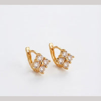 Aamrapali Fancy Austrian Stone Studs Earrings