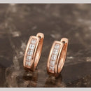 Aamrapali Fancy Austrian Stone Studs Earrings
