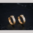 Aamrapali Fancy Austrian Stone Studs Earrings
