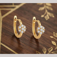 Aamrapali Fancy Austrian Stone Studs Earrings