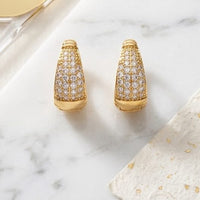 Aamrapali Fancy Austrian Stone Studs Earrings