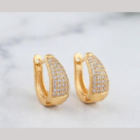 Aamrapali Fancy Austrian Stone Studs Earrings