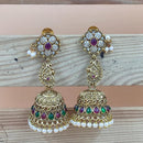 Joyful Jewel Art Matte Gold Polish Pota And Pearls Jhumki Earrings