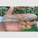 Amoliya Jewels Gold Plated Pota Stone And Pearls Choker Necklace Set